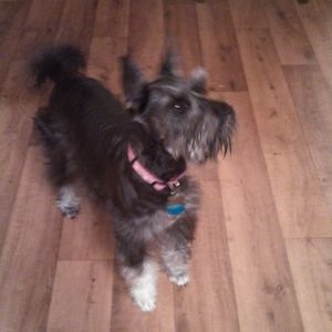 Meet your Posher, Patsy